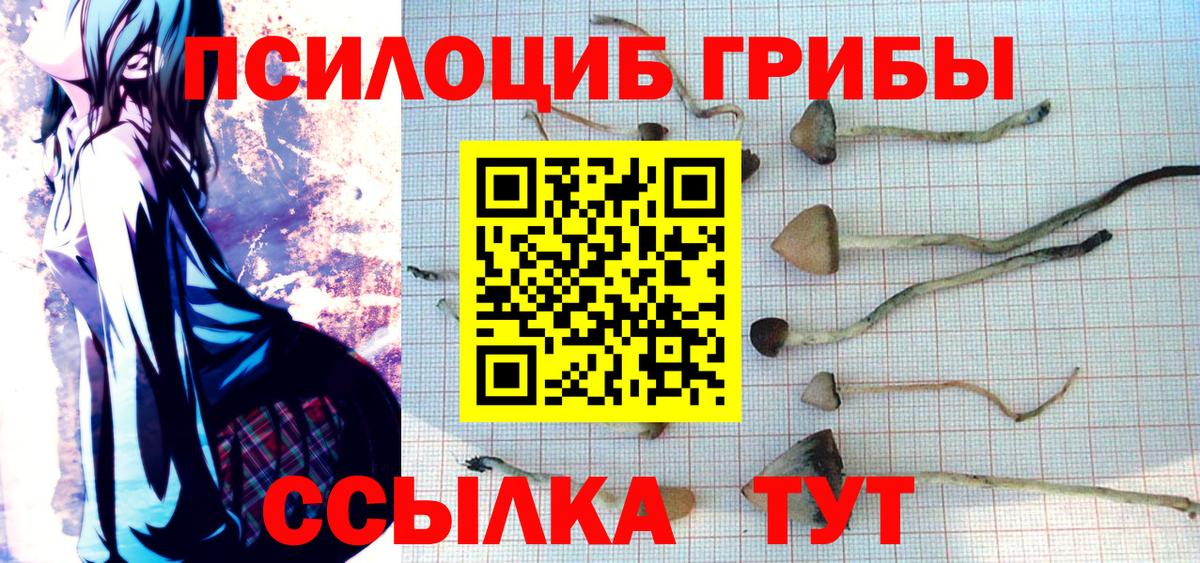 Галлюциногенные грибы мухоморы Стрежевой