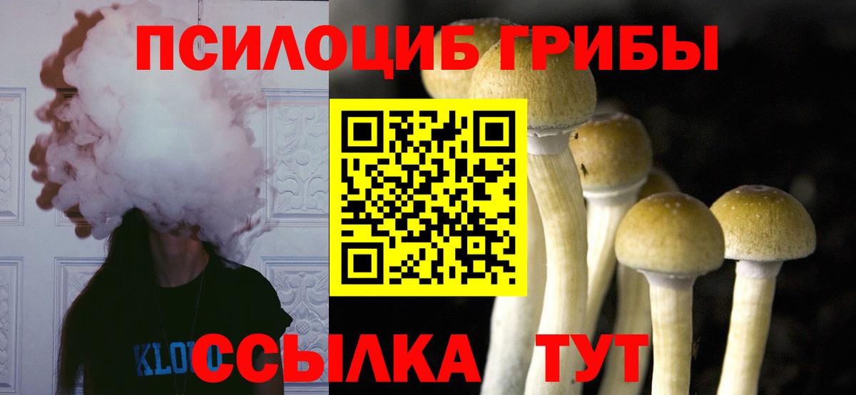 Галлюциногенные грибы Cubensis  Вход с VPN  Стрежевой 